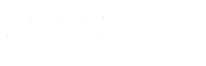 Systems client logo